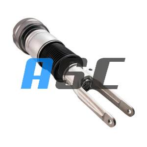 Amortiguador Delantero Derecho Porsche Panamera 970 (2009-2013)