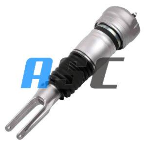 Amortiguador Delantero Izquierdo Porsche Panamera 970 (2009-2013)