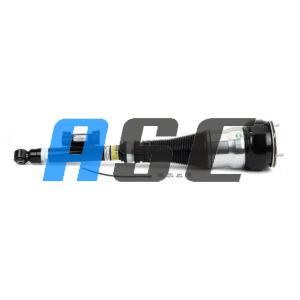 Amortiguador Trasero Izquierdo Arnott AS-3365 Mercedes W222